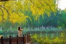 91av麻豆-互联网络潮流下的多元视角，91av与麻豆文化的社会探讨