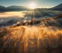 大象传媒网站地址-探索大象传媒，网络文化的广阔舞台