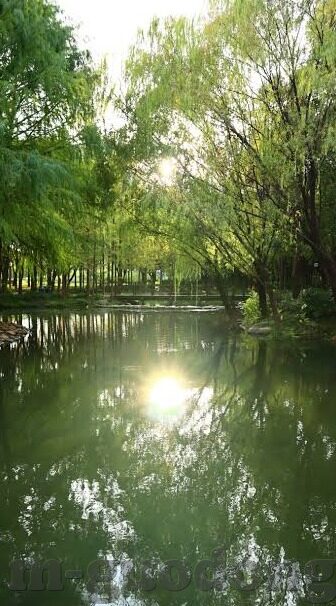 国产麻豆91欧美一区二区-脱离虚幻，探索真实——国产麻豆91欧美一区二区相关的思考