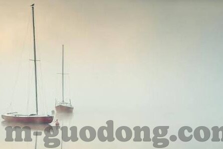 果冻传媒吉娜-吉娜与果冻传媒，光影背后的故事