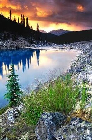 快猫成人版短视频破解版网站-探索成人娱乐新视界，快猫成人版短视频的多元魅力