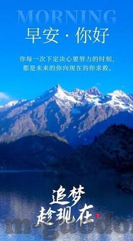 麻豆视传媒app官方视频-聚焦新媒体娱乐新视界，麻豆视传媒APP官方视频的魅力探索