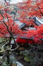欧美日韩一区二区三区-探索全球影视文化的多元魅力，欧美、日韩的影视分区概览
