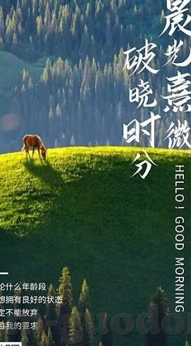 日韩a一级成人毛片视频播放-日韩成人影片的合法性与道德边界探讨