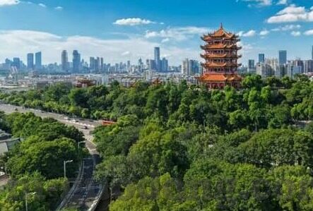 糖心app ios下载-探寻糖心APP iOS下载的秘密，解锁娱乐新体验